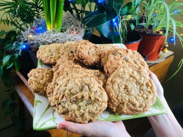 Image of a plate of cookies; in the background are houseplants with colored lights