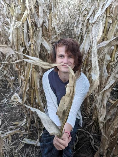 A photo of a young man seater in a field of dried cornstalks