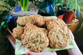 Image of a plate of cookies; in the background are houseplants with colored lights